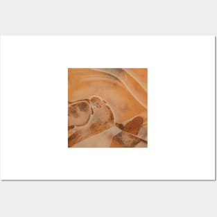 Smooth caramel agate Posters and Art